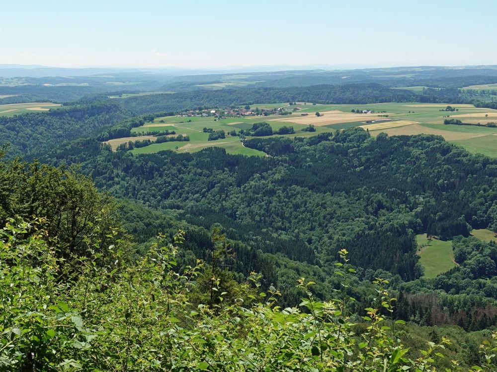 Blick über die Wutach auf Blumegg