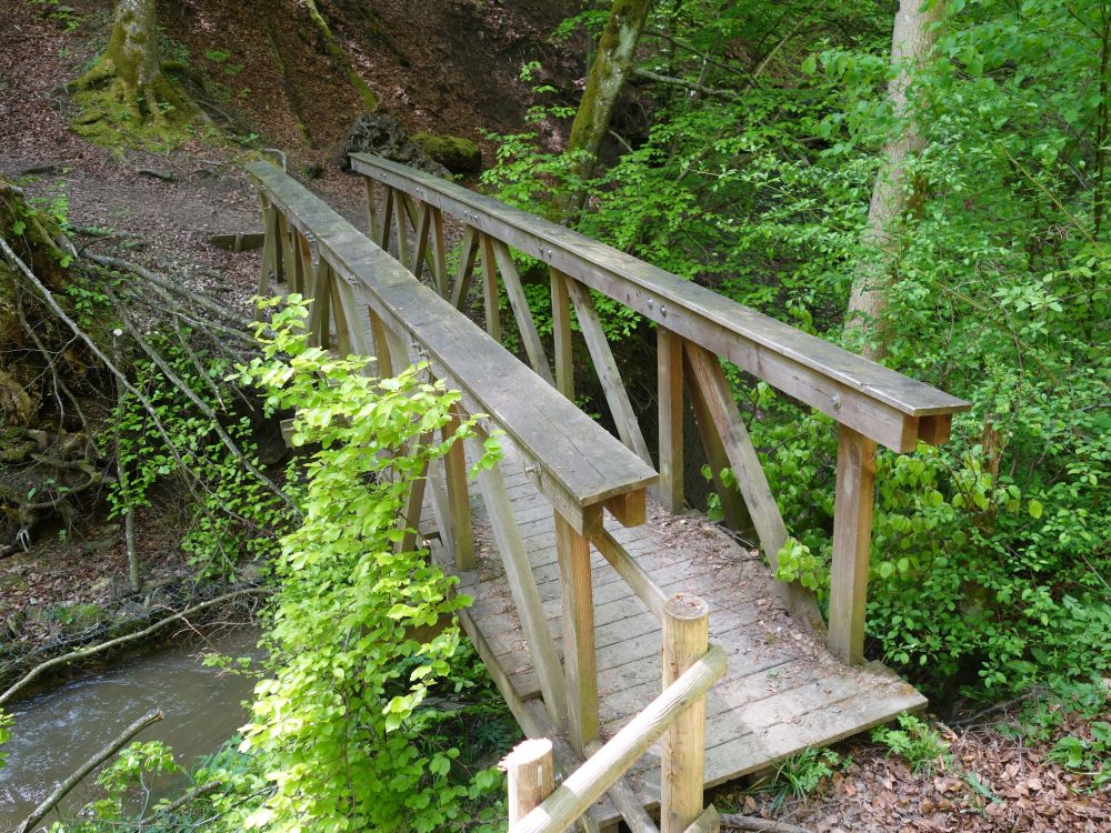 Holzsteg über Schleifenbach