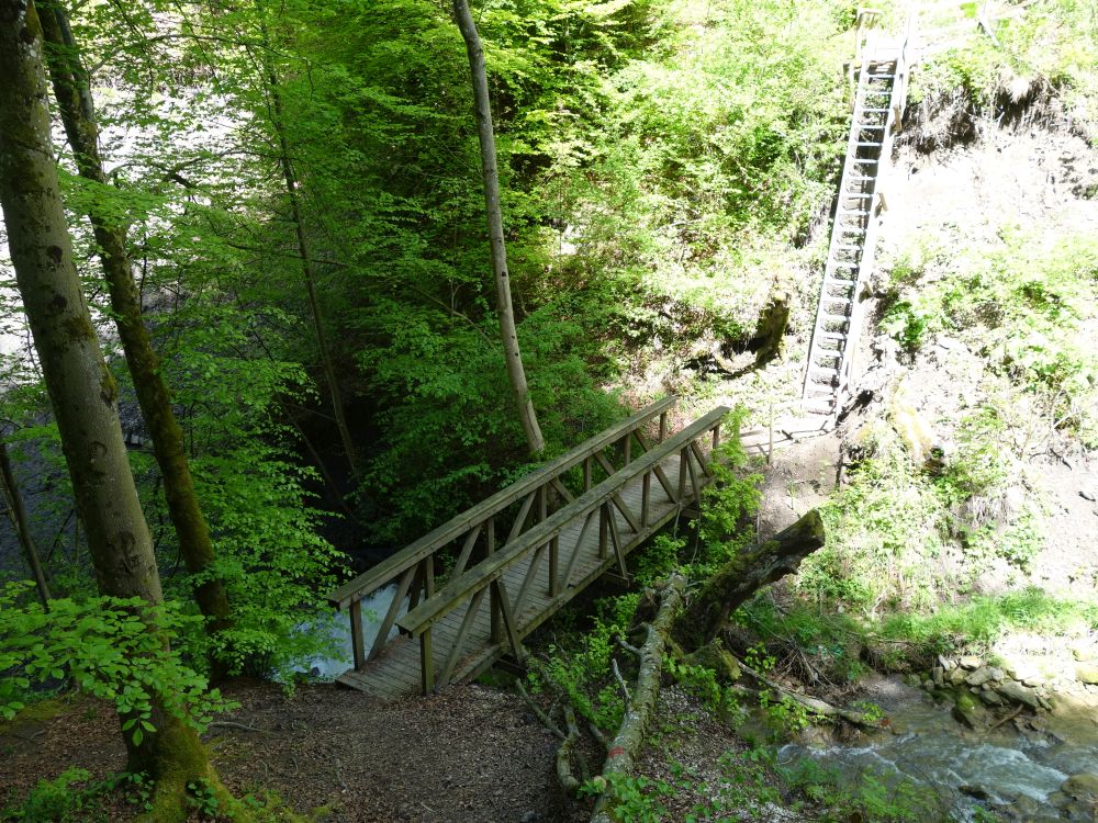 Holzsteg und Treppe