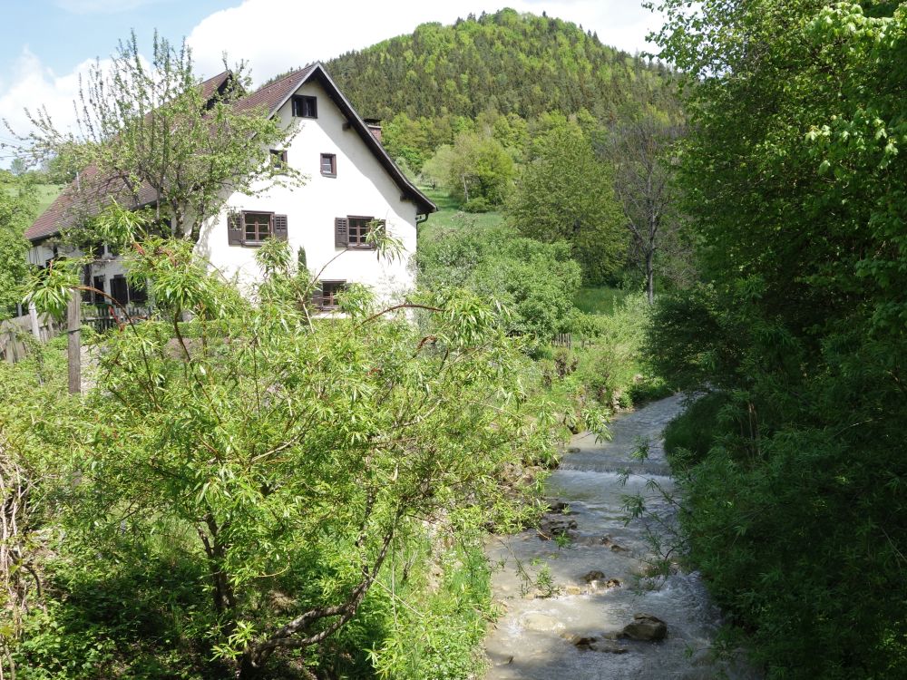 Schleifenbach bei Achdorf