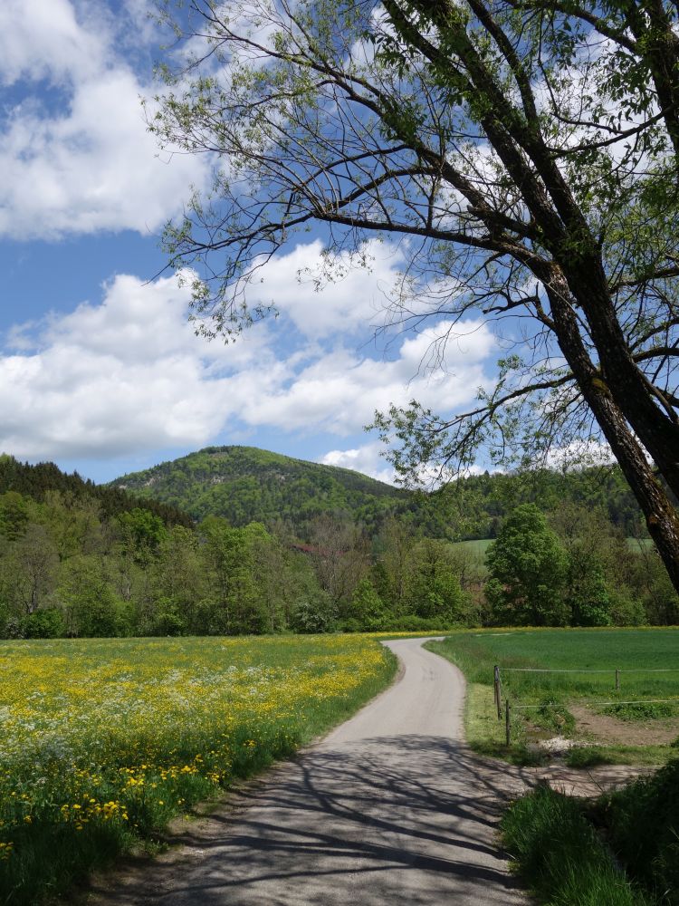 blhende Wiesen und Wolken