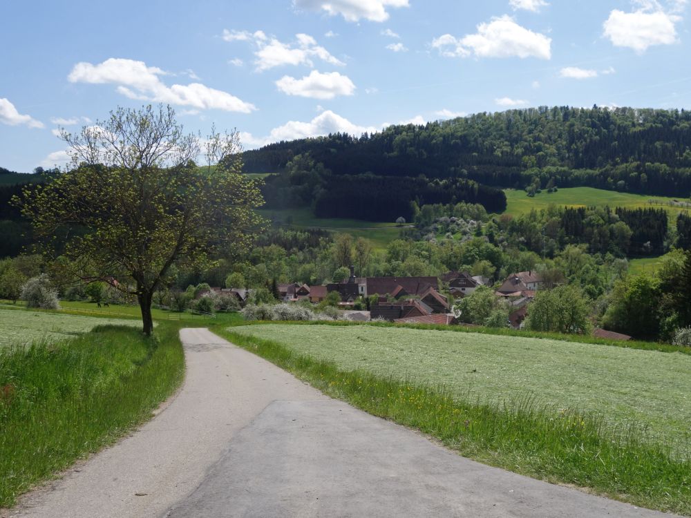 Blick auf Achdorf