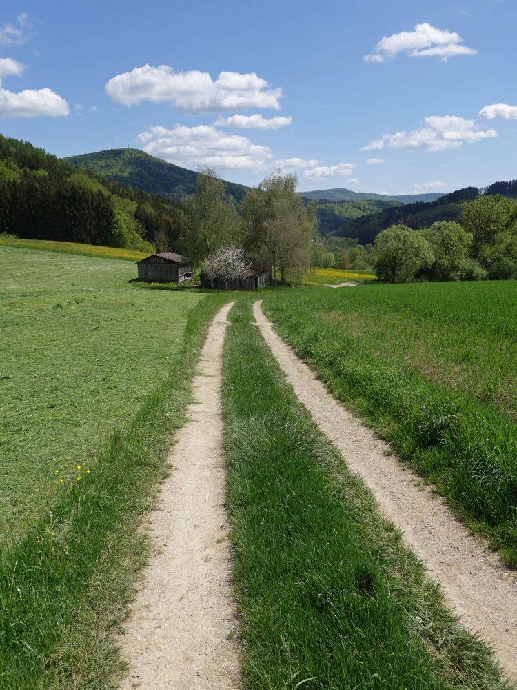 Wirtschaftsweg über Achdorf