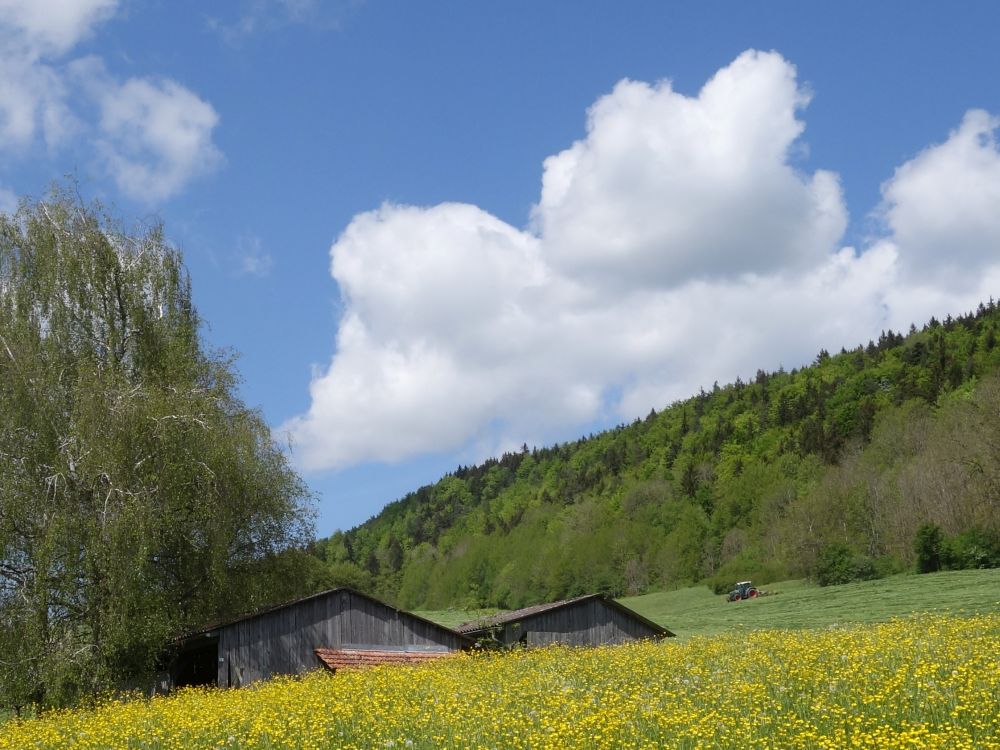 blhende Wiesen und Wolken