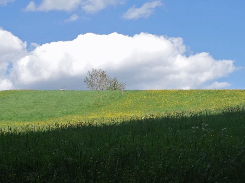 Sonne und Schatten