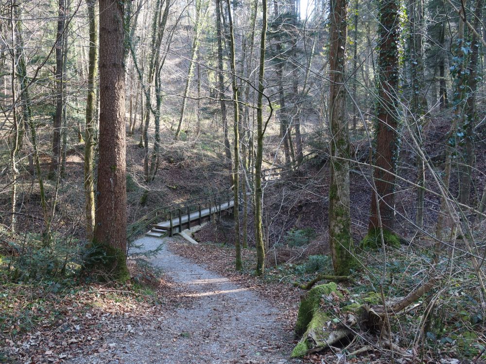 Holzsteg in Tüüfelschuchi