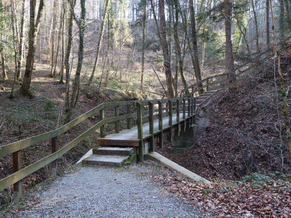 Holzsteg in Tüüfelschuchi