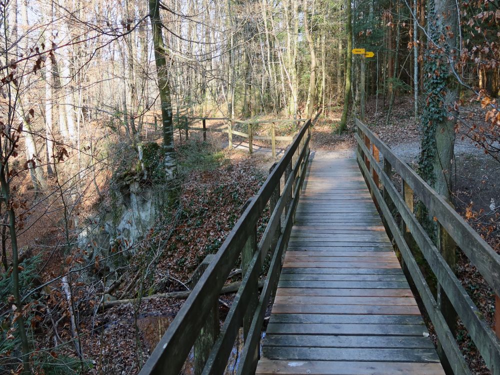 Holzsteg überm Schollenholzbach