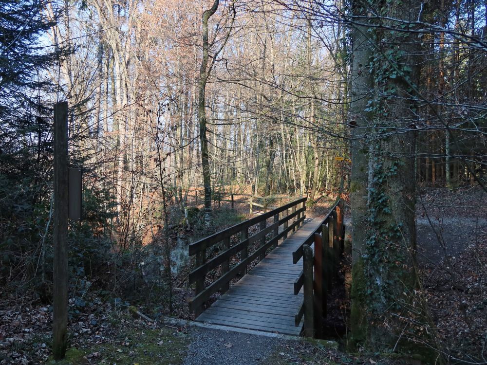 Holzsteg überm Schollenholzbach