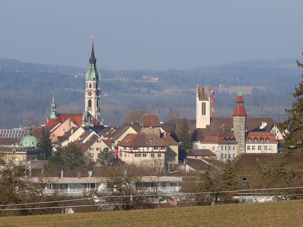 Kirchtürme von Frauenfeld