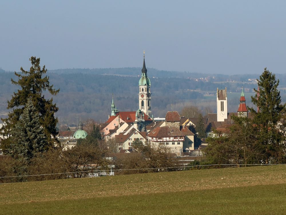 Kirchtürme von Frauenfeld