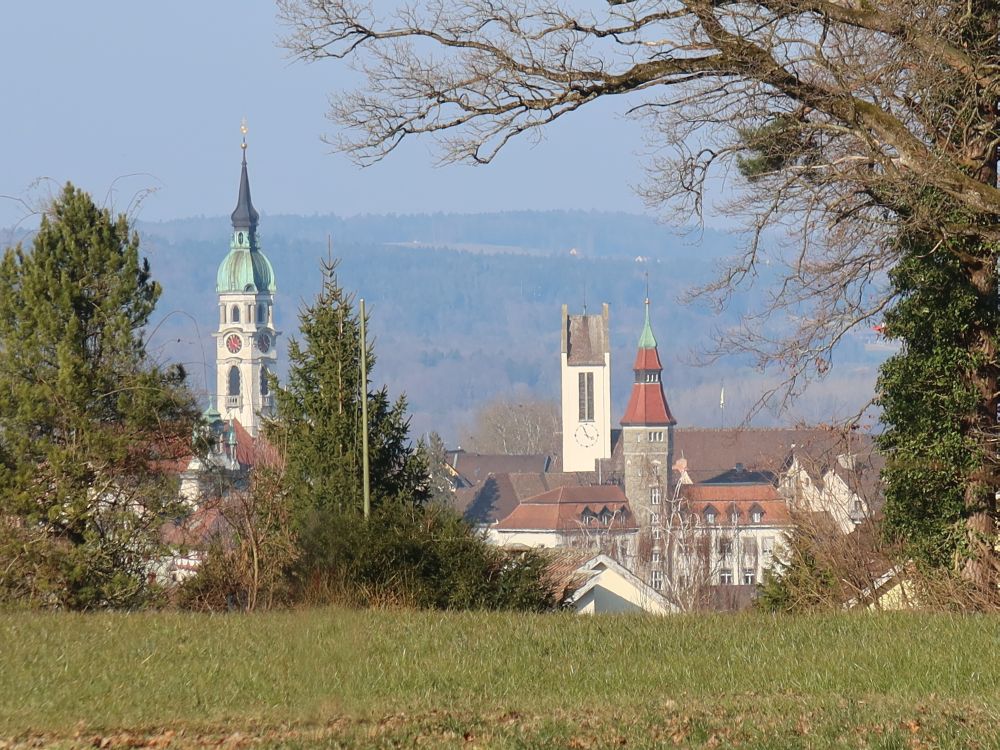 Kirchtürme von Frauenfeld