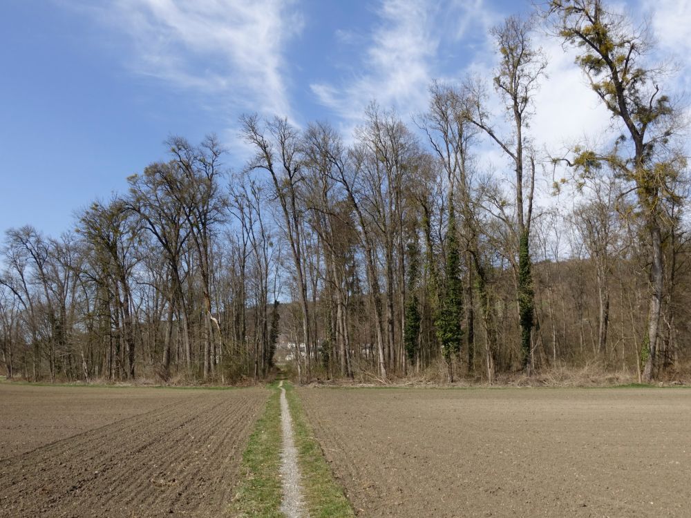 Pfad Zum Torkeläcker