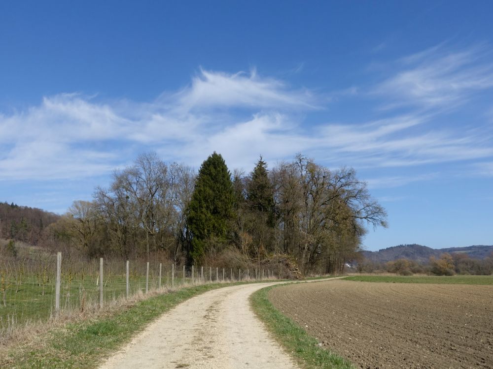 Wanderweg