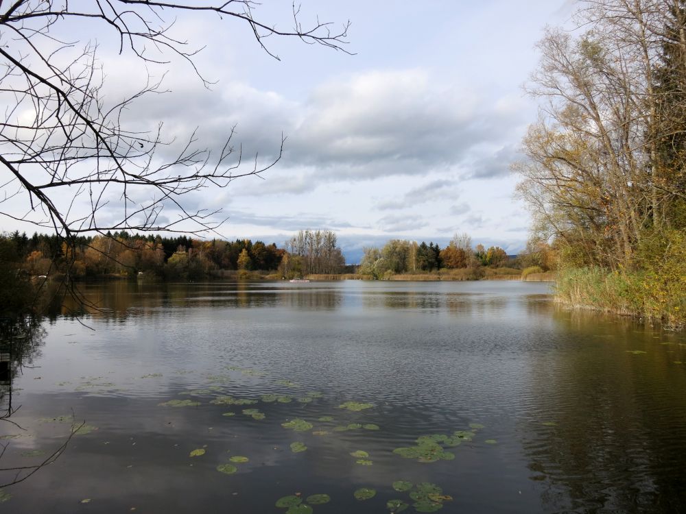 Böhringer See