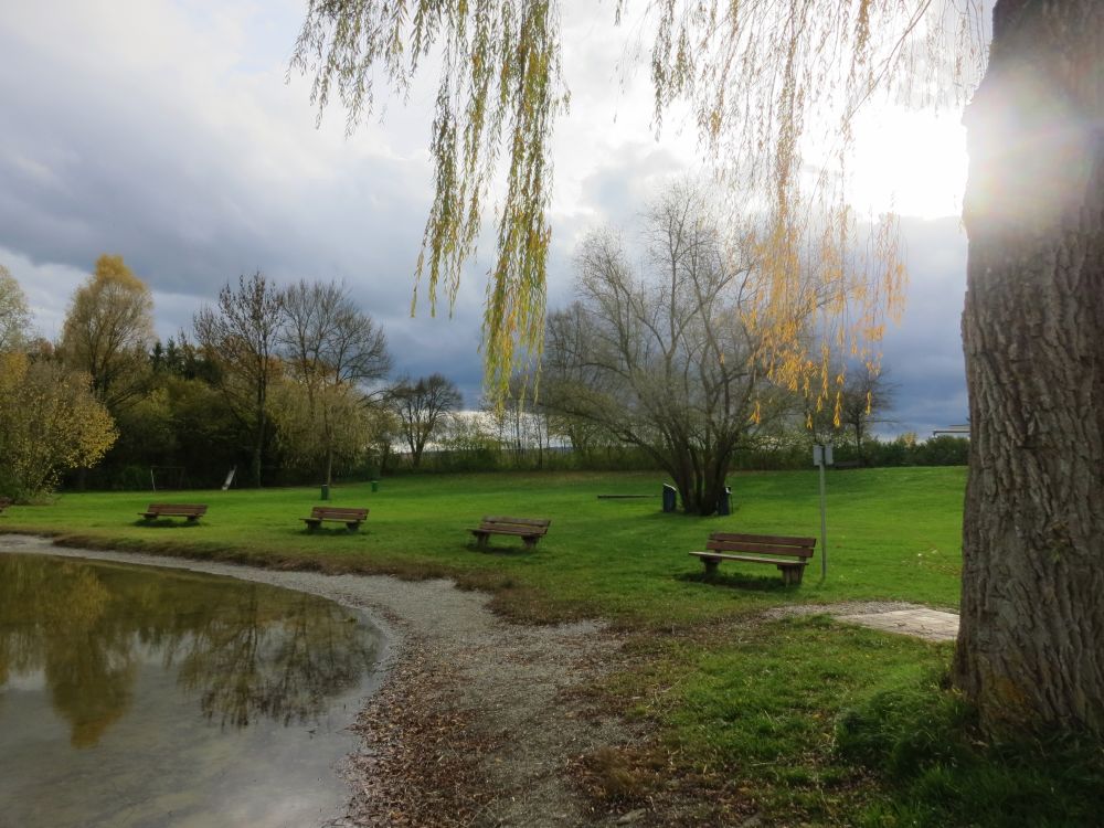 Liegewiese am  Böhringer See