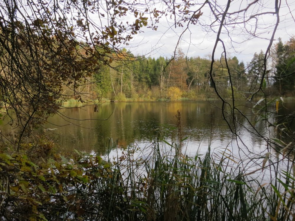 Lützelsee