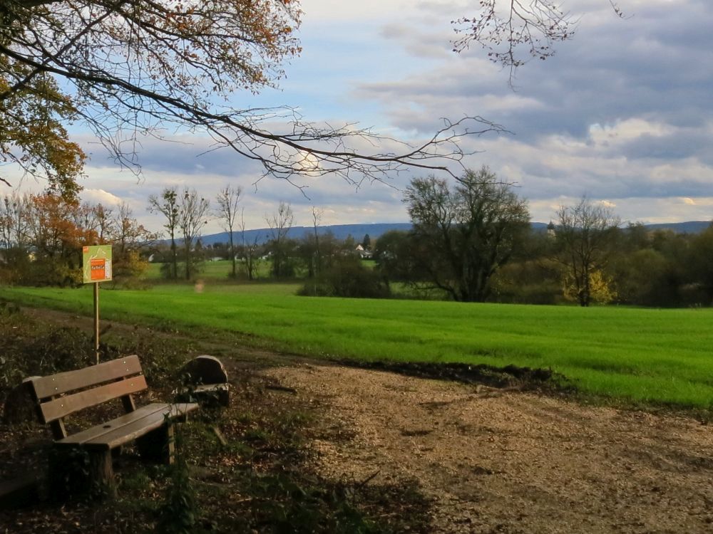 Blick Richtung Bhringen