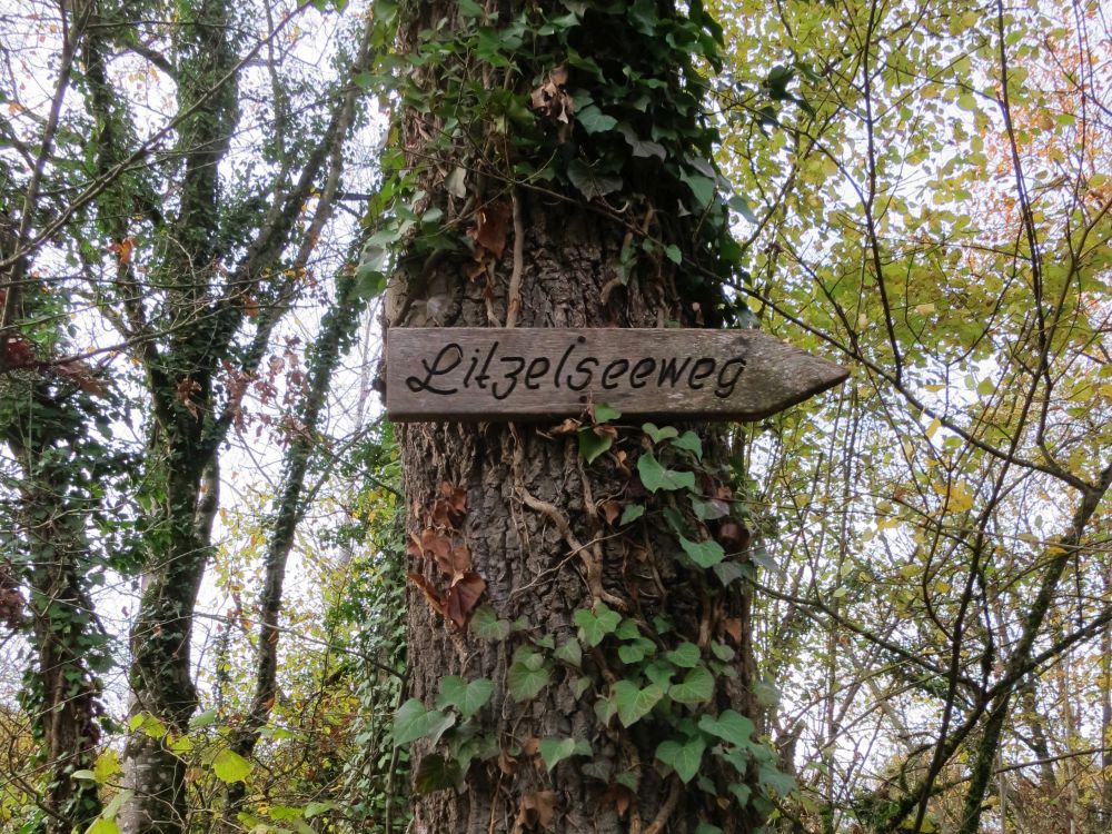 Litzelseeweg