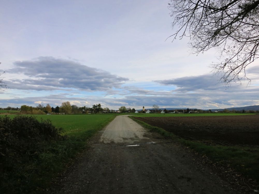 Blick Richtung Bhringen