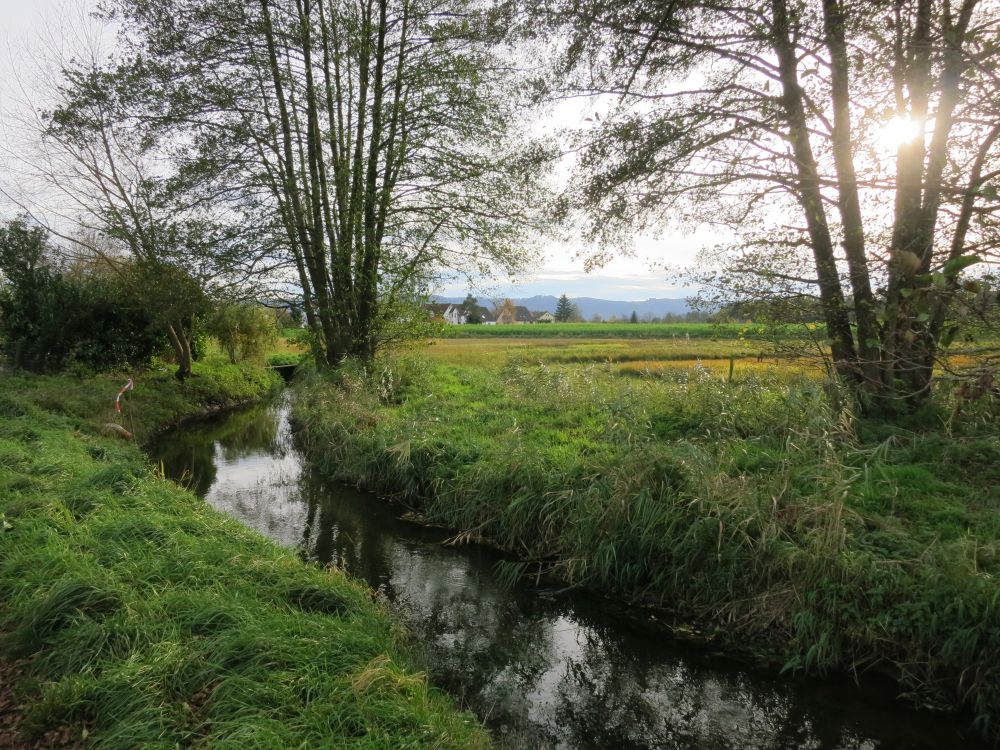 Mühlbach