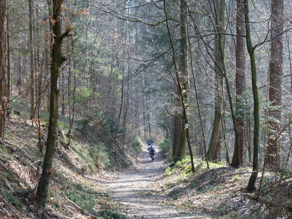 Stationenweg