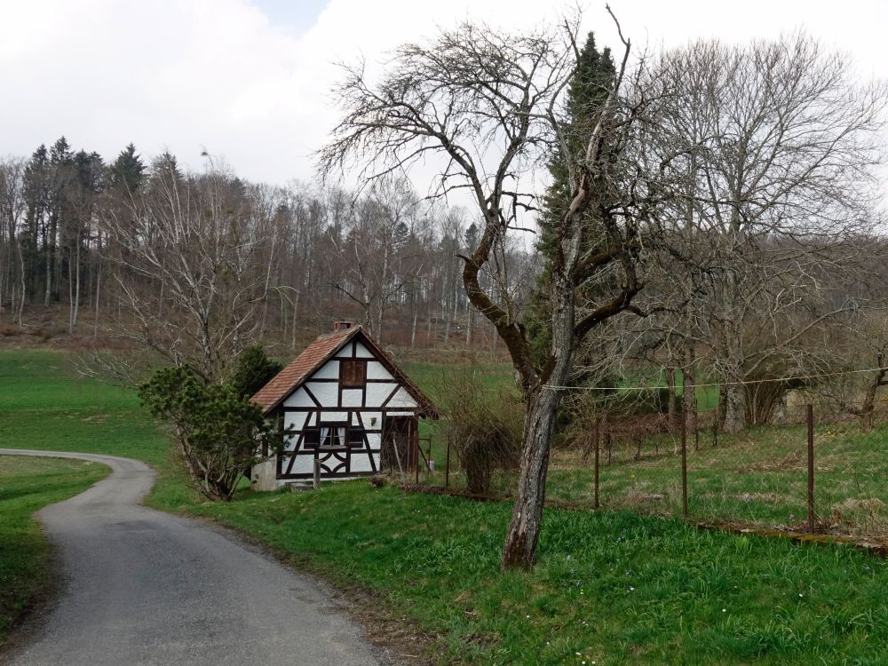 Schuppen beim Bühlarzer Hof