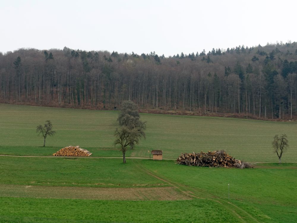 Bühlarzer Hofkapelle zwischen Holzstapeln