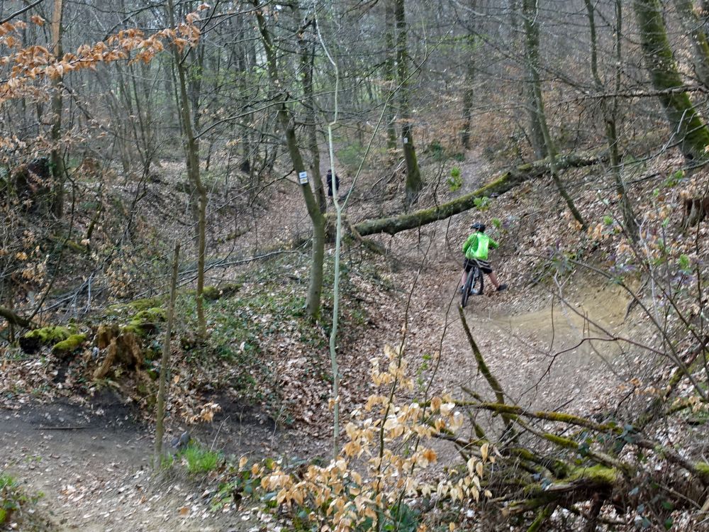 Wanderweg und Downhill