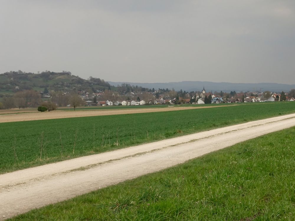 Blick Richtung Bohlingen