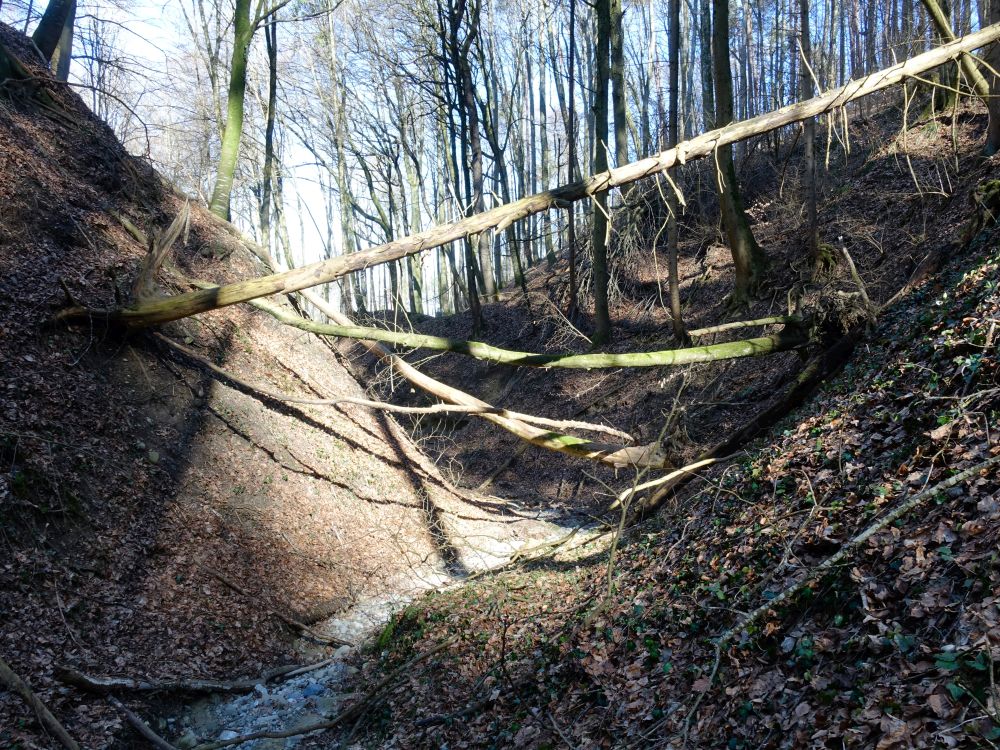 Bohlinger Schlucht