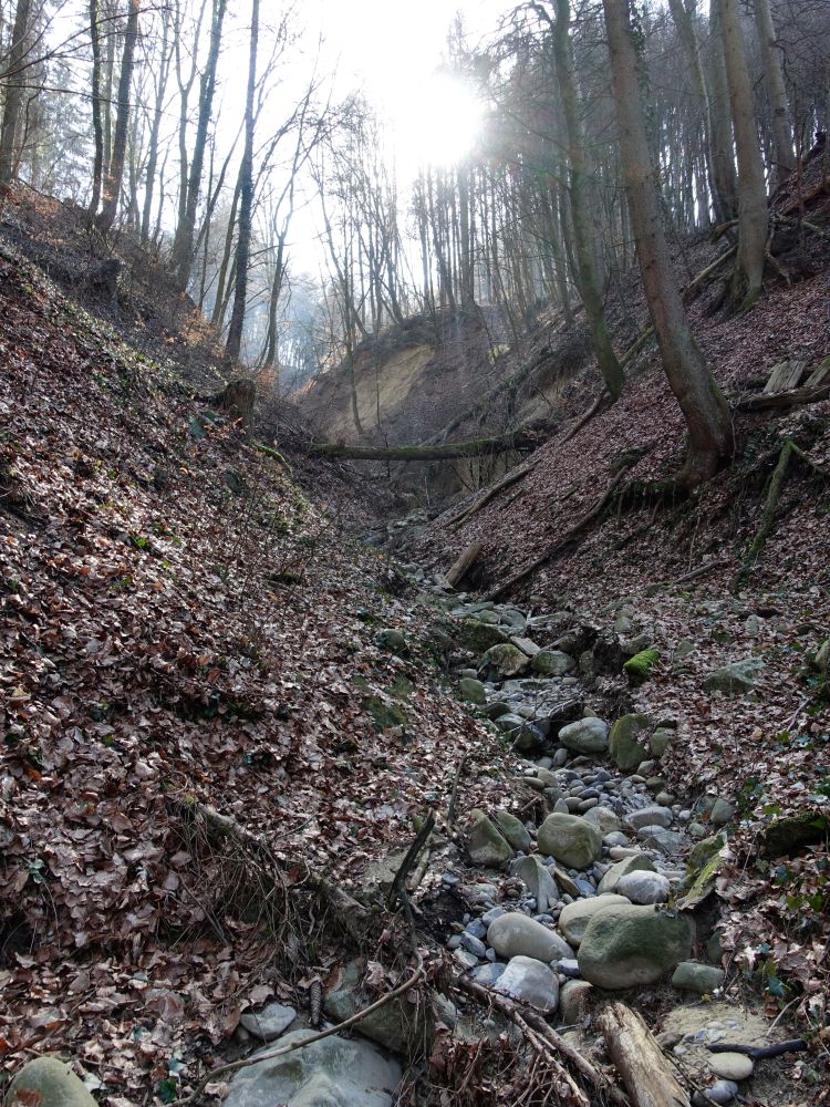 Bohlinger Schlucht