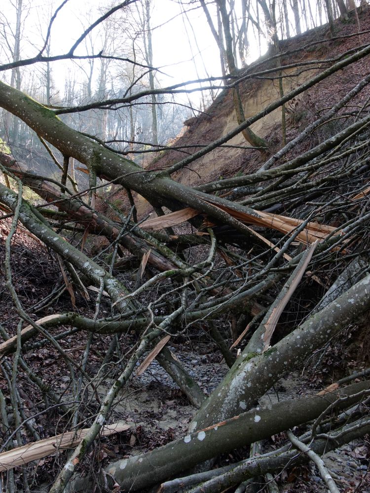 Bohlinger Schlucht