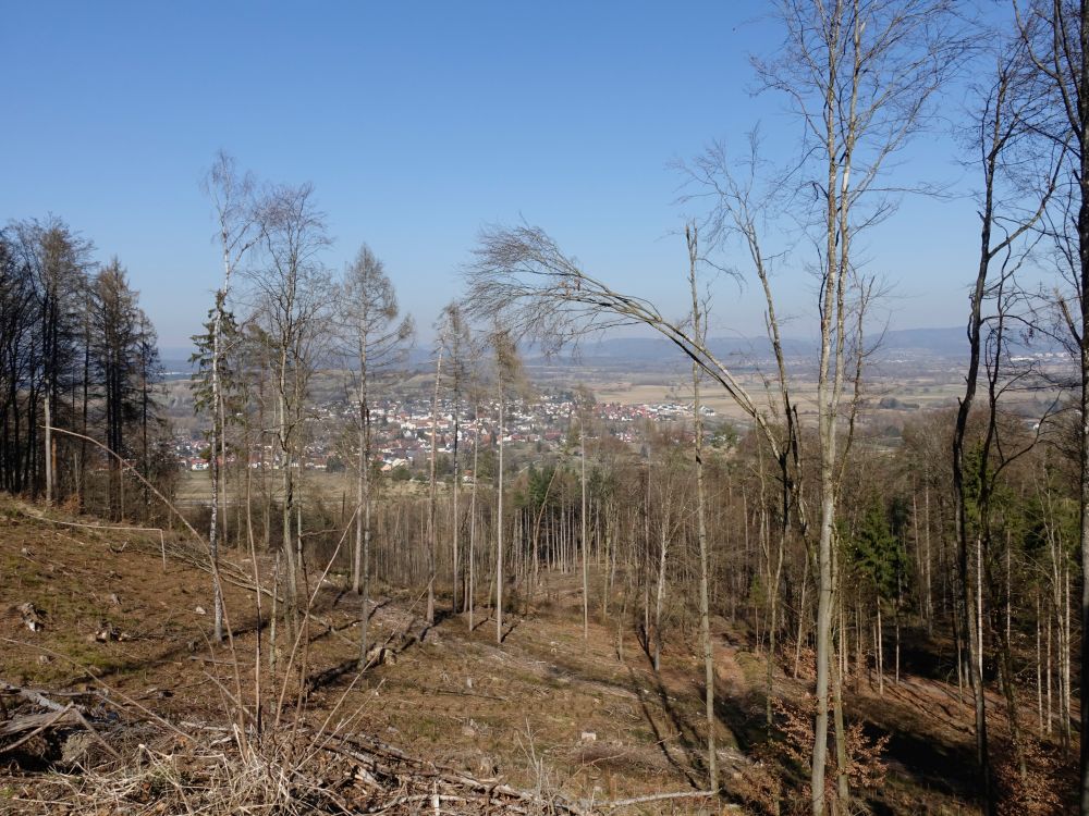 Bohlingen hinter Bäumen