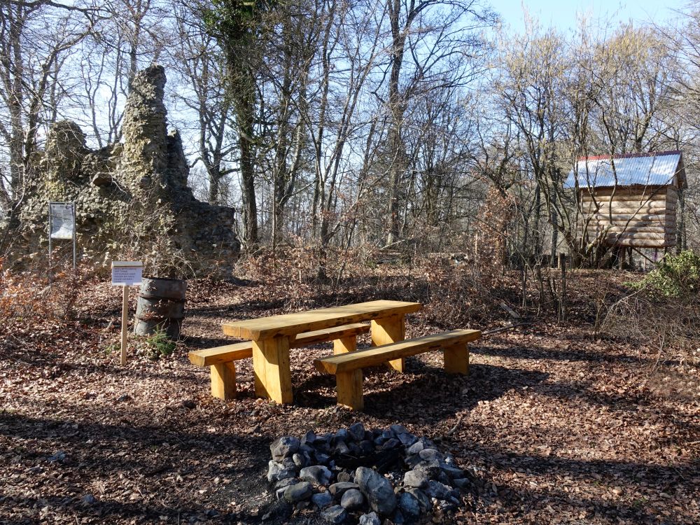 Picknickplatz bei der Schrotzburg