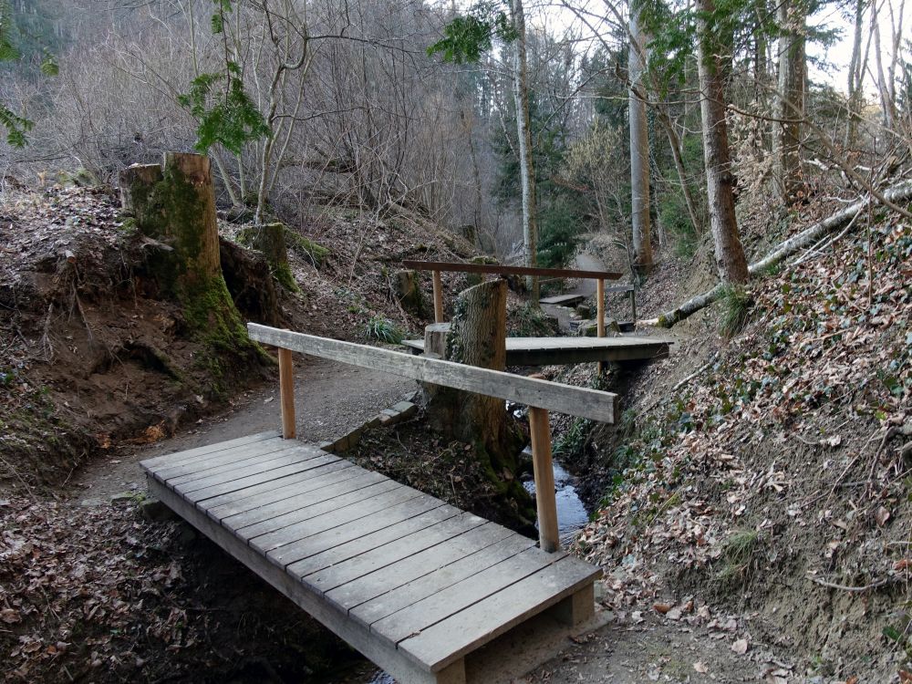 Holzstege im Mühlbachtal