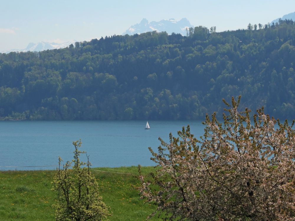 Segelboot auf den Zürichsee und Mürtschenstock