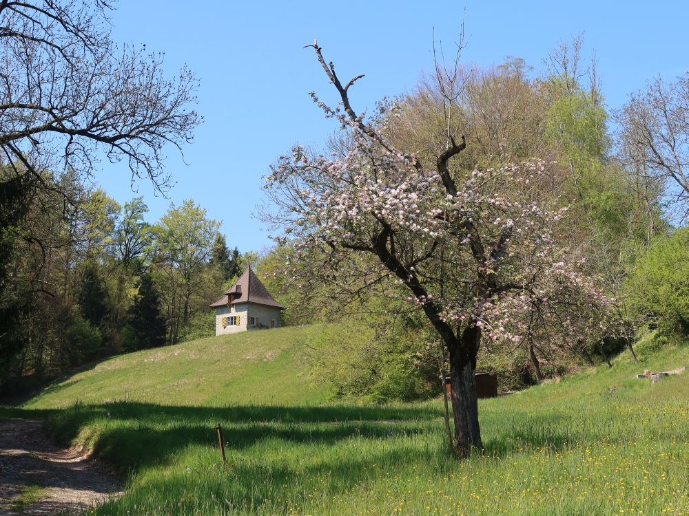 Gebäude bei Moos