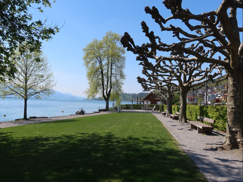 Uferpromenade Schmerikon