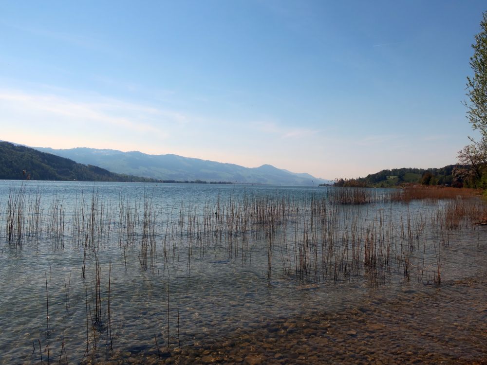 Blick über den Zürichsee Richtung Westen