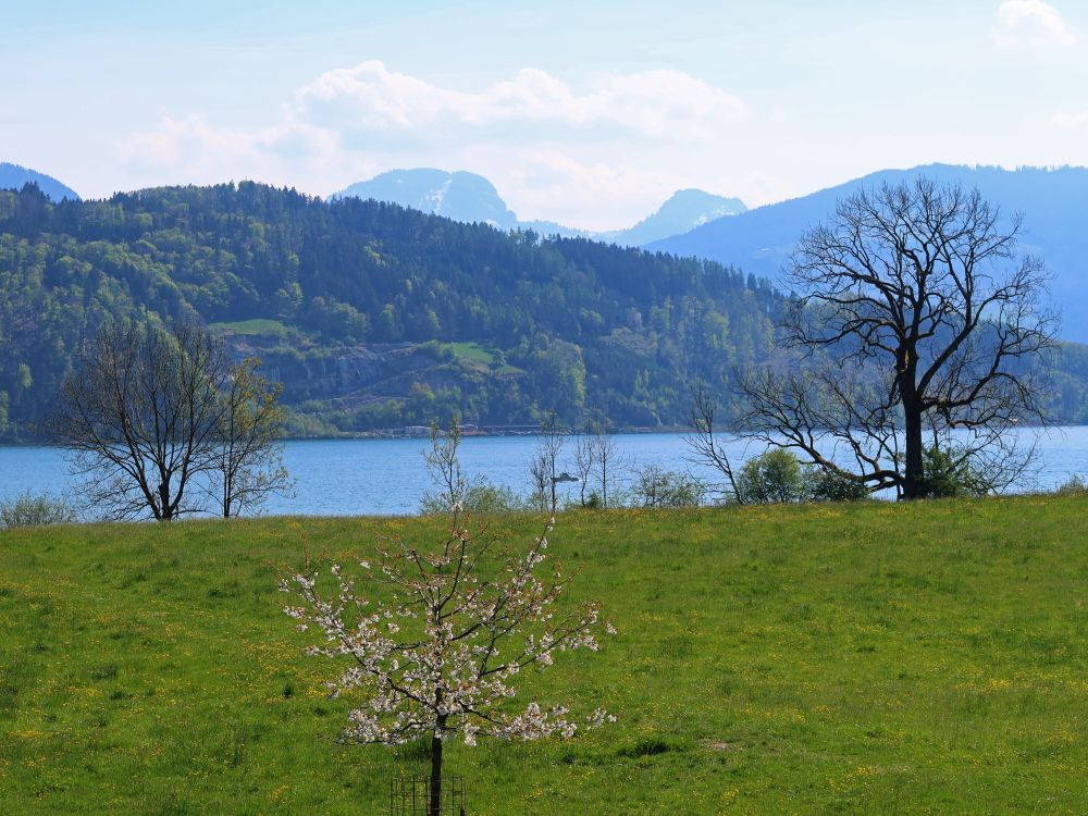 Gross Aubrig und Klein Aubrig