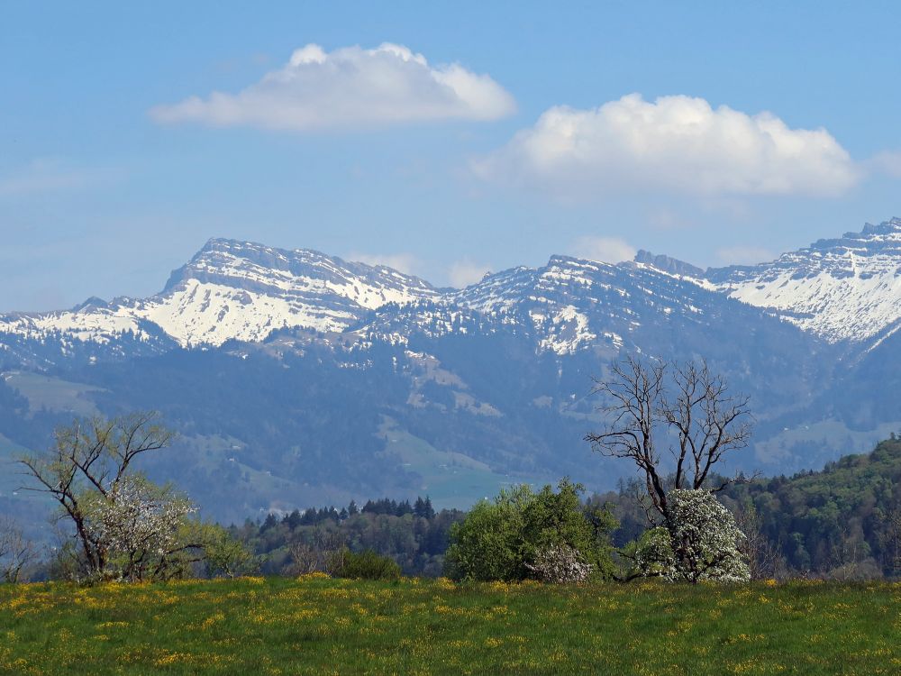 Blick zum Speer und Chüemettler