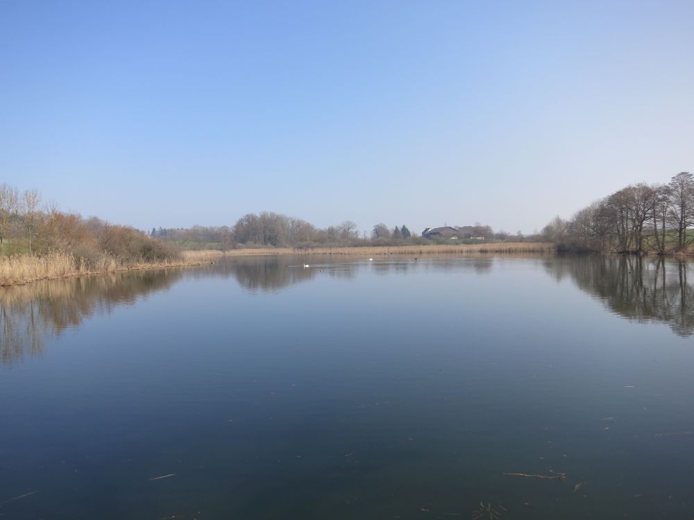 Bommeweiher