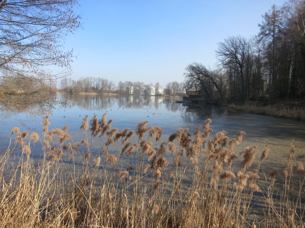 Lengwiler Weiher