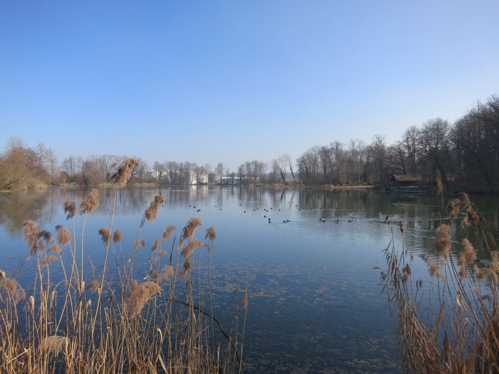 Lengwiler Weiher