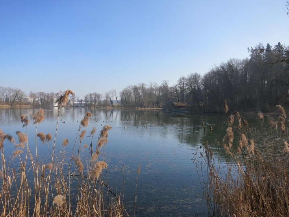 Lengwiler Weiher