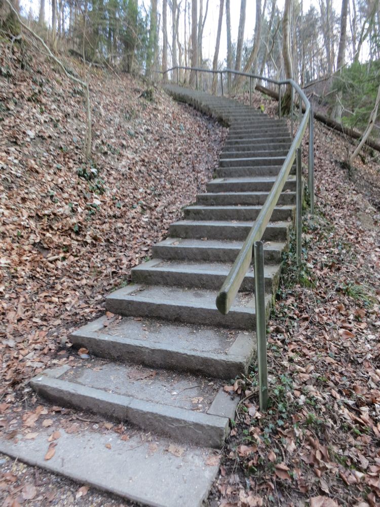 Treppe im Saubachtobel