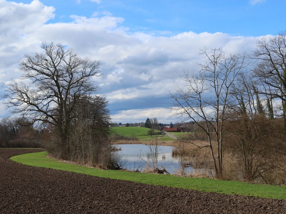 Untere Bommeweiher