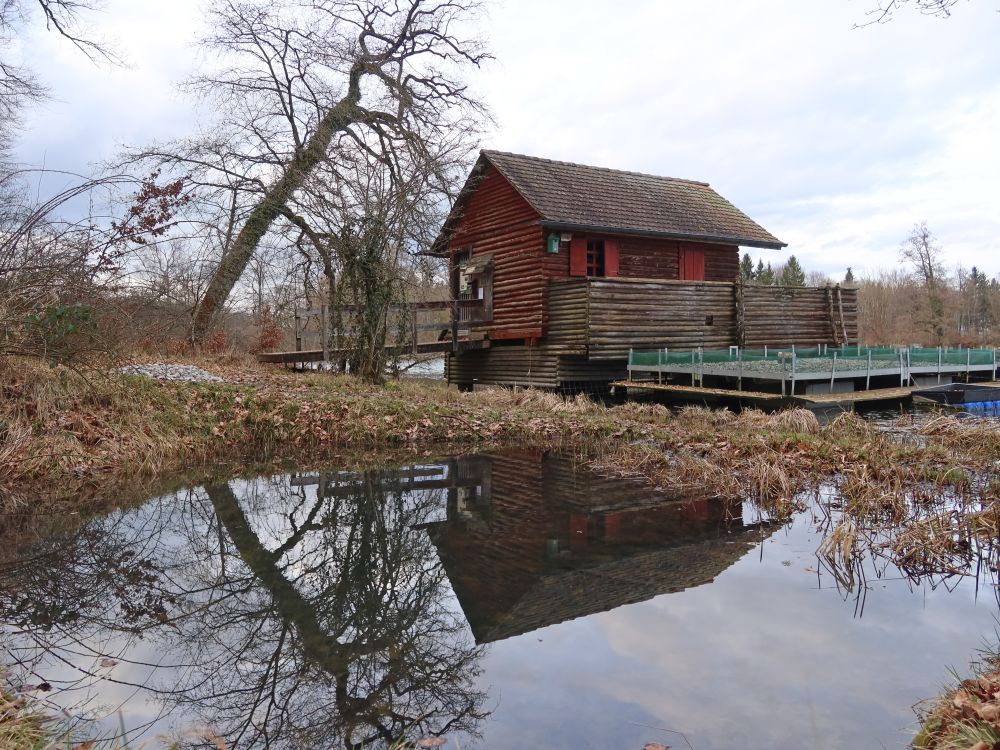 Hütte am Groossweiher