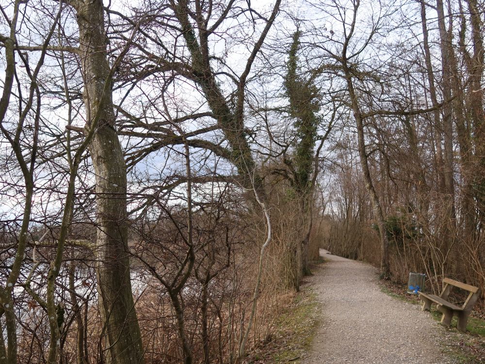 Uferweg am Groossweiher